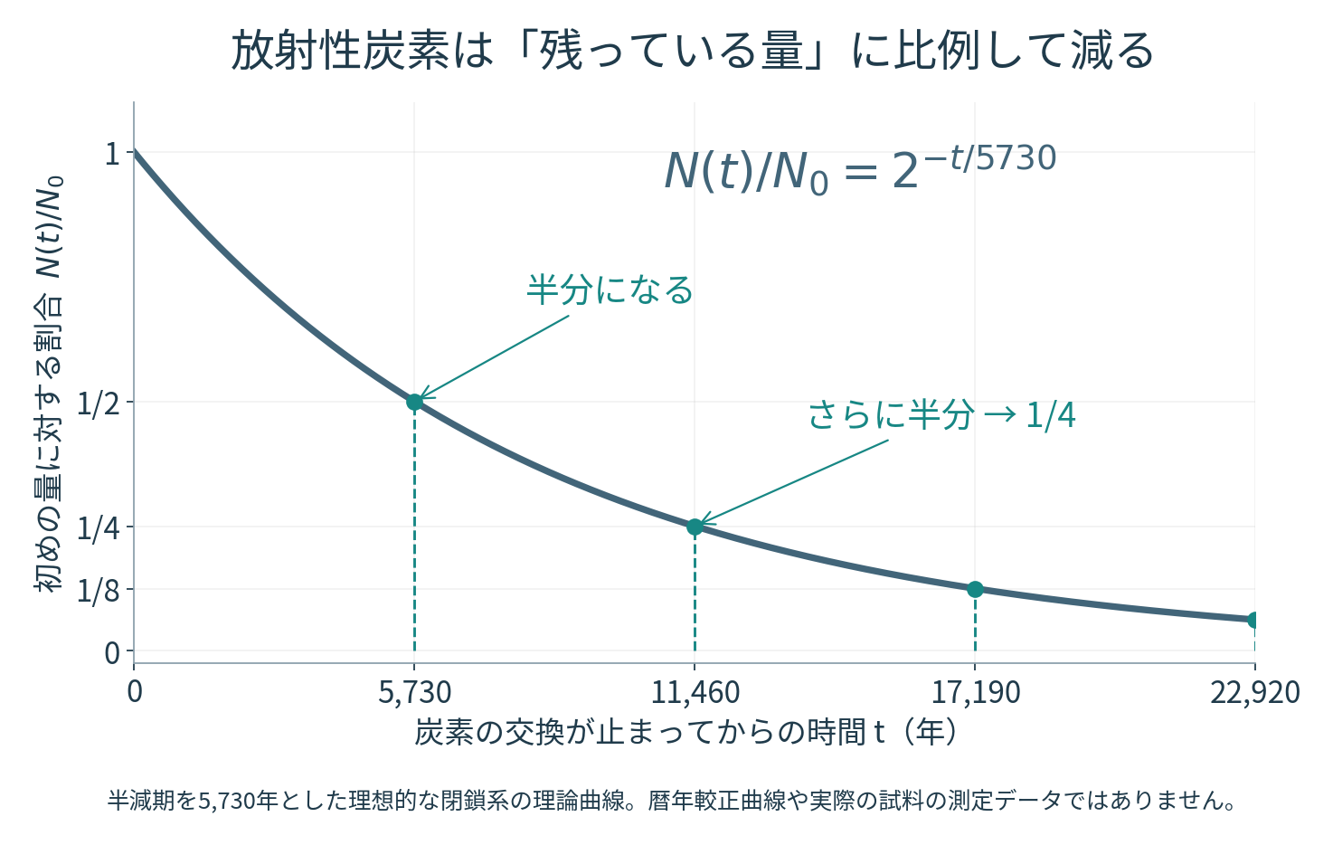 半減期5730年の理想的な放射性崩壊曲線。残存割合は5730年で1/2、11460年で1/4、17190年で1/8、22920年で1/16になる。